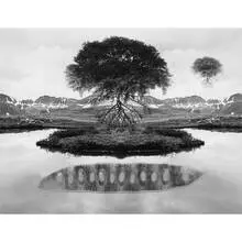 Jerry Uelsmann, Floating Tree, 1969, gelatin silver print mounted to board