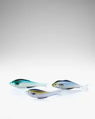 Pesce con Foglia d'Argento by Ermanno Nason, for Vetreria Gino Cenedese, hand worked and applied glass with silver leaf inclusions, sold Feb 2023