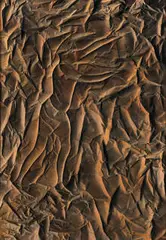 Francesco Muzzi, L'Uccellatore, 1962, Oil on canvas
