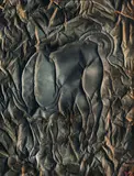 Francesco Muzzi, Il Toro, 1962, Oil on canvas