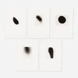 Arnulf Rainer, five works from Sieben Kleine