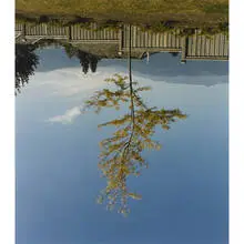 untitled by Rodney Graham, 1996-1998, c-print, sold Sep 2010