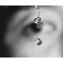 untitled (Eye No. 7.) by Susan Derges, 1991, gelatin silver print, sold Sep 2010