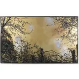 Stefan Sehler, untitled, 2008, reverse-painted oil and acrylic with resin on Plexiglas
