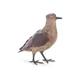 Franz Xavier Bergman, cold painted bronze model of a woodcock or snipe, cold painted bronze