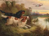 Robert Cleminson, Spaniels flushing mallards; Gun dog with pheasants, a pair, oil on canvas