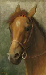 Charles Buchel, Portrait of horse, oil on canvas laid to board