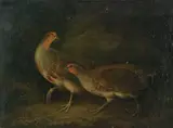 Stephen Elmer, Two partridges in the undergrowth, oil on canvas