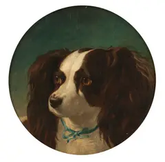 Abraham Cooper, A favourite spaniel, oil on panel