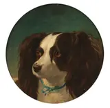 Abraham Cooper, A favourite spaniel, oil on panel