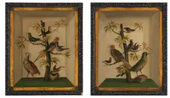 Continental School, A pair of trompe l'oeil of exotic birds, oil on canvas