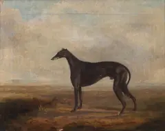 William Henry Davis, A favourite greyhound, Oil on canvas