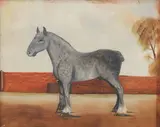 British School, A grey heavy horse, possibly a Percheron, together with four others (5)