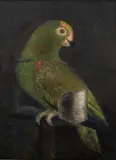 A green parrot by English School, Oil on canvas laid down, sold Sep 2022