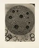 Terry Winters, Album-Portfolio Etching #6 and #1 (2), 1988, Etching