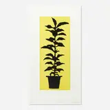 Donald Baechler, Potted Plant, 2005, drypoint and aquatint in colors on Somerset