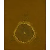 Jōsaku Maeda, Image Morphologique, 1961, oil on canvas