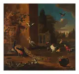 Cercle de Melchior de Hondecoeter, Une grue couronnée, des paons et un perroquet gris africain, oil on canvas