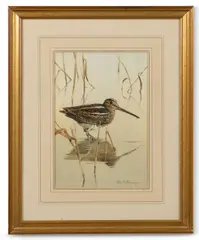 Snipe by Edwin Penny, Watercolour, sold Dec 2022