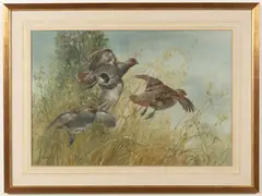 Edwin Penny, Partridge in flight, Watercolour