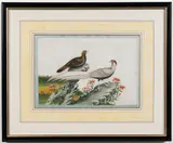 Chinese School, Studies of exotic East Asian birds against blossoming branches