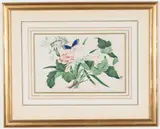Chinese School, Studies of flowers and butterflies