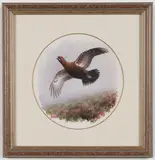 Rodger McPhail, Grouse in flight