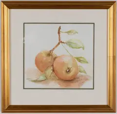 Rose studies by Roger Banks, A set of four, painted on 17th century paper from Ruben's studio, sold Dec 2022