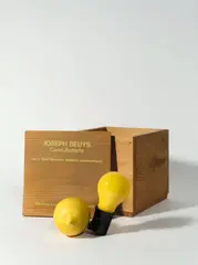 Joseph Beuys, Capri Batterie, 1985, Original-Holzkiste mit Glühlampe mit Steckerfassung