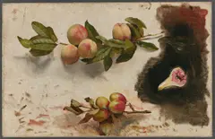 Deutsch, um 1850, Pfirsich- und Pflaumenzweig mit einer aufgeschnittenen Feige, Öl auf Leinwand