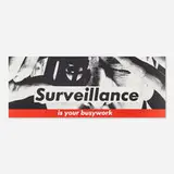 Barbara Kruger, Surveillance is Your Busywork, 1983, lithograph in colors