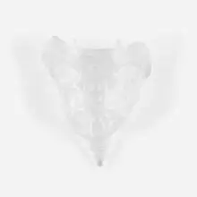 Tail by Kiki Smith, 1997, kiln-cast lead crystal, sold Nov 2020