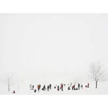 Peter Bialobrzeski, Heimat #31, Schwartzwald/Black Forest, 2004, c-print