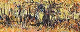 Wayne Thiebaud, Bramble Trees, 1957, Gouache on paper