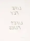 Bruce Nauman, Life Fly Lifes Flies (from the Leo Castelli Portfolio), 1997, Etching