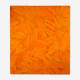 Kazuko Inoue, Untitled