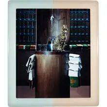 Matthew Barney, Cremaster 3: Plumb Line, 2001, laminated c-print in acrylic artist's frame