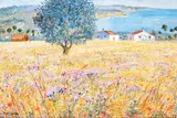 Michele Cascella, Farmhouses in a field on the Adriatic, oil on canvas