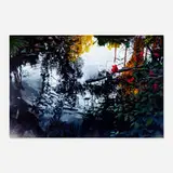 David T. Kessler, Evening Lace