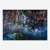 David T. Kessler, Luminous Progression