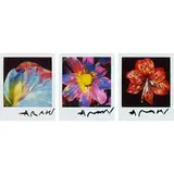 untitled (Flowers) by Nobuyoshi Araki, c. 1995, 3 Polaroids, sold Dec 2009