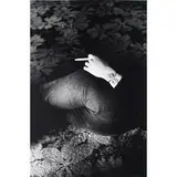 Ralph Gibson, untitled (twenty works)