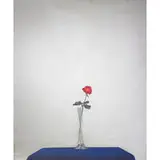 Michelangelo Pistoletto, La Rosa