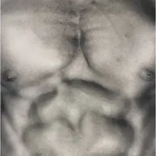 untitled (chest) by Robert Mapplethorpe, 1986, gelatin silver print, sold Sep 2009