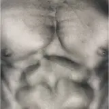 untitled (chest) by Robert Mapplethorpe, 1986, gelatin silver print, sold Sep 2009