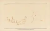 Paul Klee, Landschaft mit Pferden, 1924, Feder in Tinte auf Papier, vom Künstler auf Karton aufgezogen