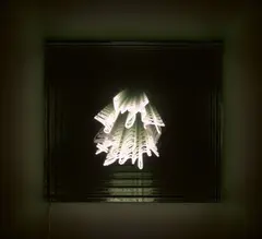 Brigitte Kowanz, DELIGHT, 2007, Neonröhre in Spiegelkasten