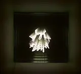Brigitte Kowanz, DELIGHT, 2007, Neonröhre in Spiegelkasten