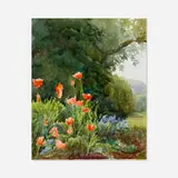 Abbott Handerson Thayer, Poppy Blossoms, 1893, watercolor on paper