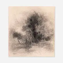Richard Mayhew, Tree Study, ink on paper